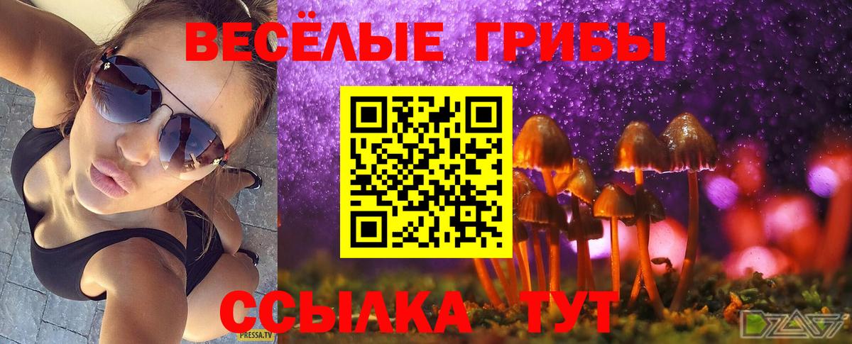 хочу наркоту  Галлюциногенные грибы ЛСД  Вход с VPN  Россия 